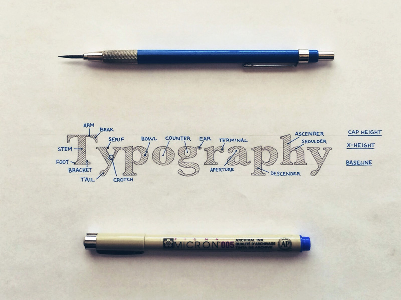 Hand Lettered Type Anatomy | hand lettering by seanwes