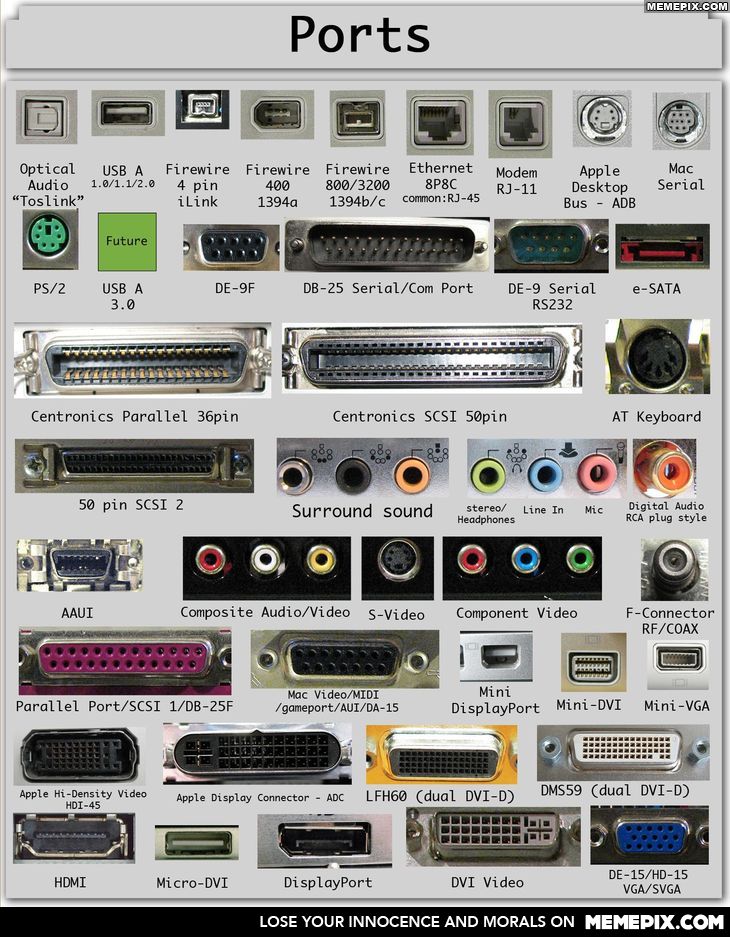 Many ports found on PCs, Macs, pheripherals, audio and video devices.