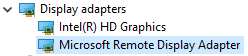 T510 has Intel(R) HD Graphics and Microsoft Remote Display Adapter